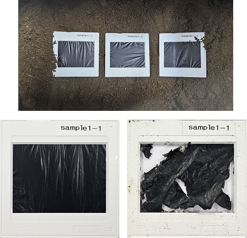 자연토양 생붕괴도 랩스케일 이미지