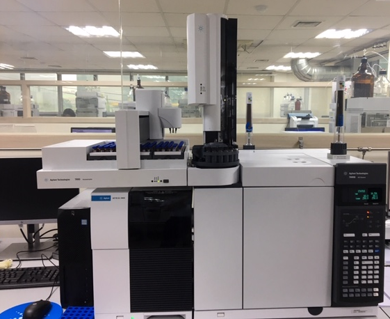 프탈레이트 분석 이미지 5