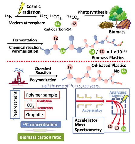 방사성 탄소 측정 원리