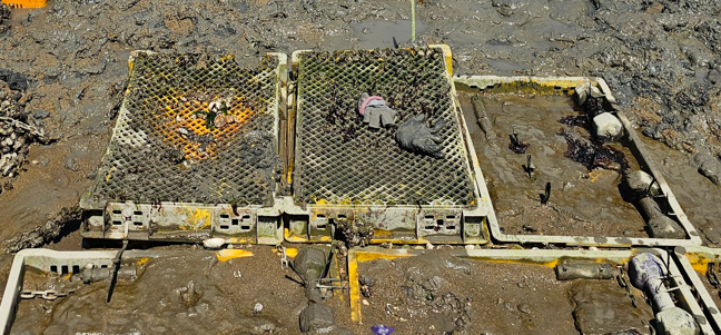 퇴적물 조건 이미지